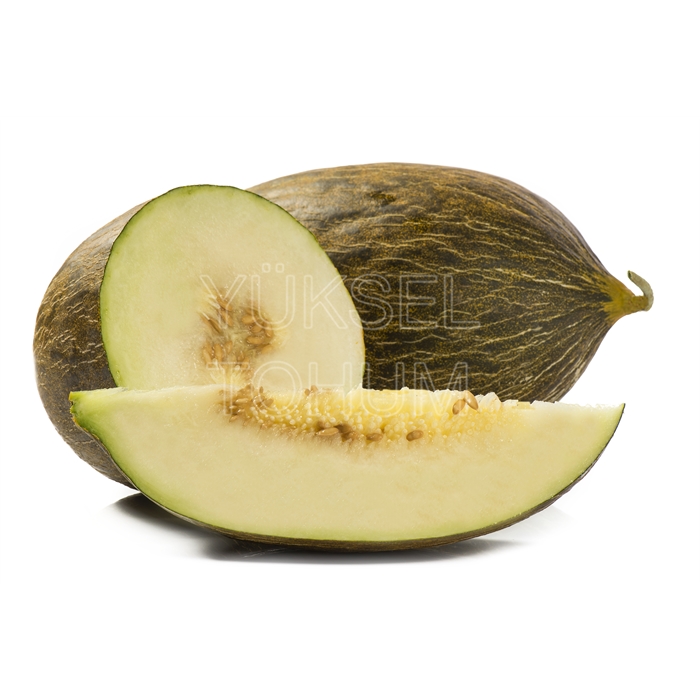 Kallavi (Piel De Sapo) Kavun Fidesi