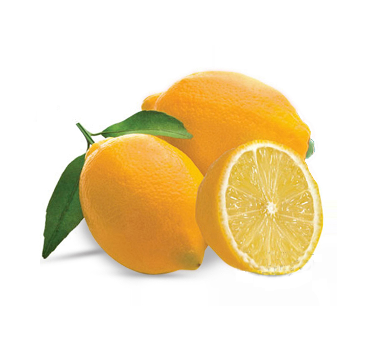 Mayer Limon Fidanı