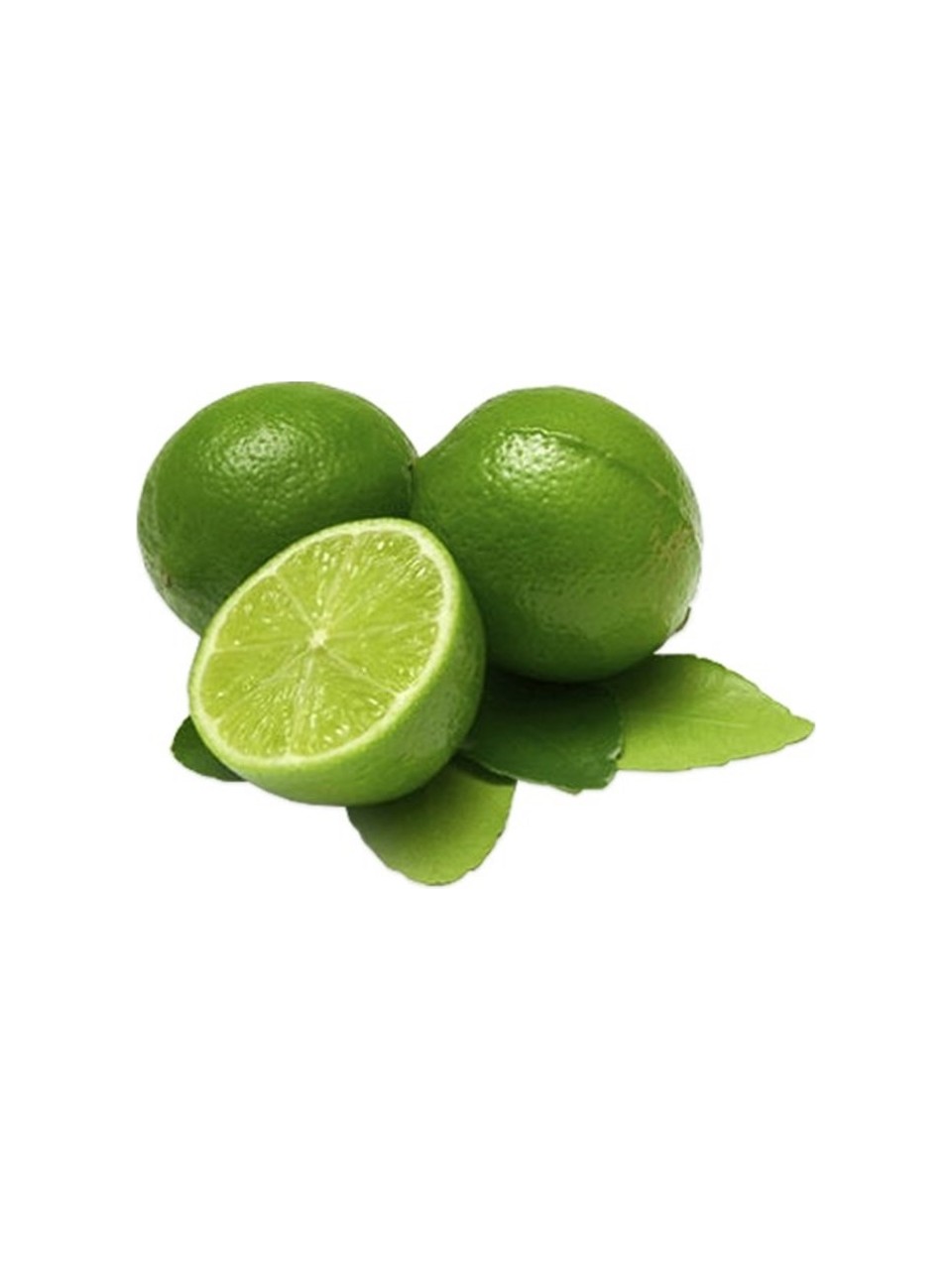 Lime Limon Fidanı