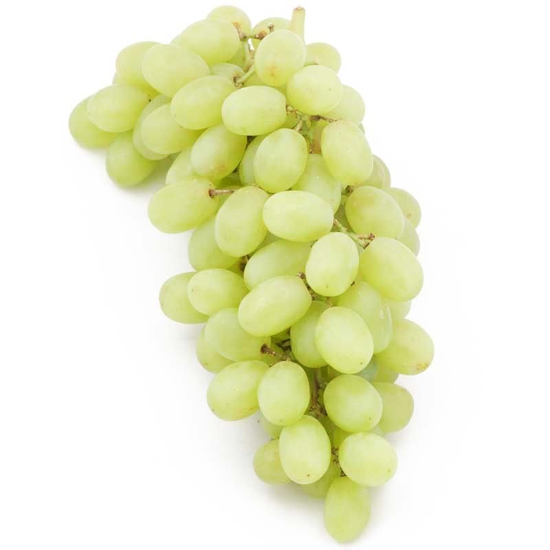 Thomson Seedless Uzum